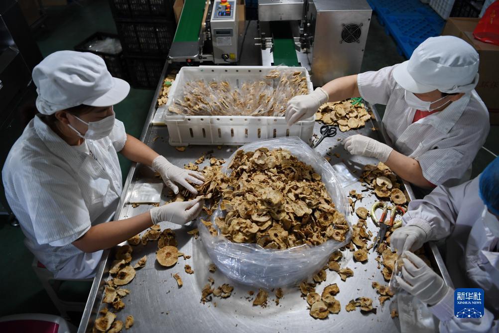 亚洲城登录官网